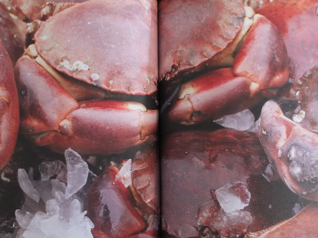 Lodestars Anthology crab photograph