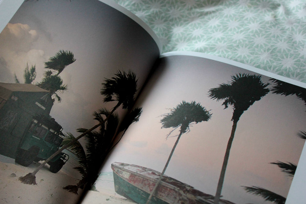 In Clover magazine palm tree beach