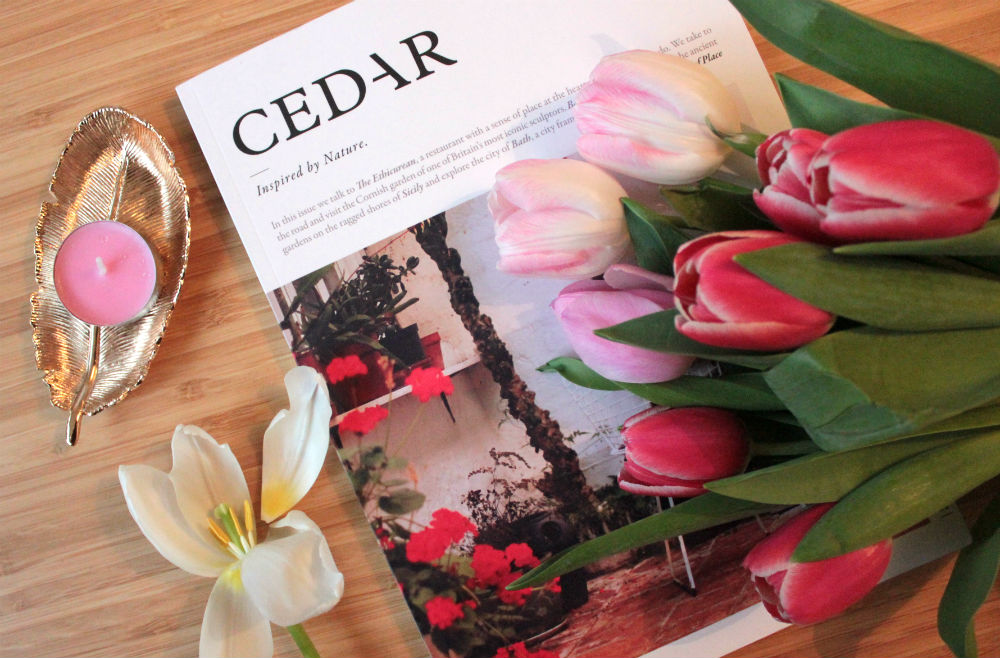 First issue cover of Cedar Magazine