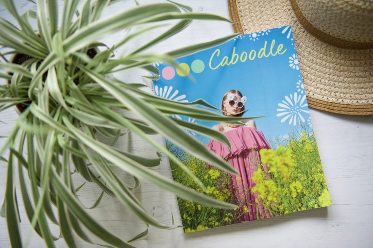 Caboodle Magazine flatlay of front cover with hat and spider plant